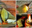 This is Why You Should Burn a Bay Leaf in Your Home