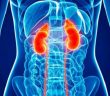 8 Warning Symptoms of Kidney Damage