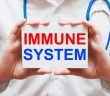 Why Your Immune System Is Important!