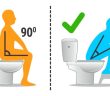 All of Us Sitting On The Toilet Incorrect — Here Is The Ideal Position!