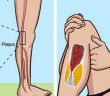 Here Are 7 Warning Signs You Have Blocked Arteries!