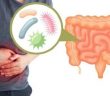 10 Warning Signs You Have an Unhealthy Gut and How to Build a Healthy One Again!