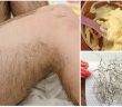 Remove Unwanted Hair Permanently In Three Days, No Shave No Wax, Removal Facial & Body Hair Permanently!